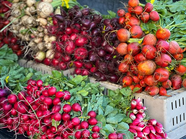 Ventrèche sèche : saveur authentique du sud-ouest à découvrir