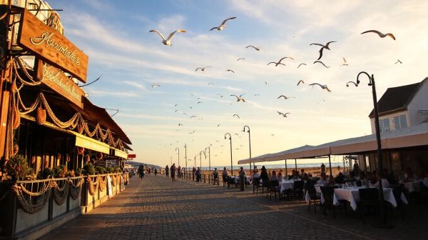Découvrez les meilleures spécialités de fruits de mer à Cabourg